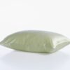 champagne-green
